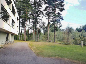 Двухкомнатные просторные апартаменты. Imatra